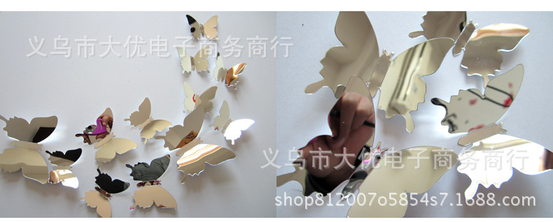 镜面新增描述_02