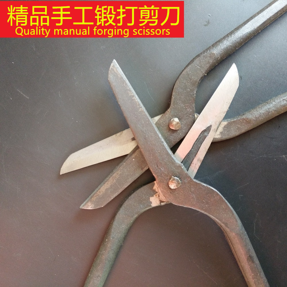 IMG_20161202_100654_副本