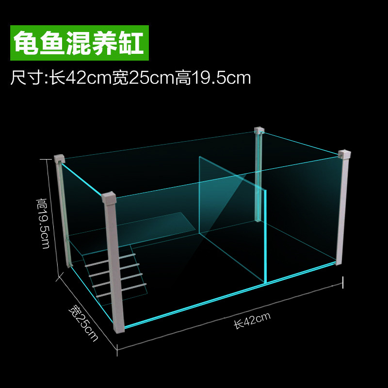 龟鱼混养缸