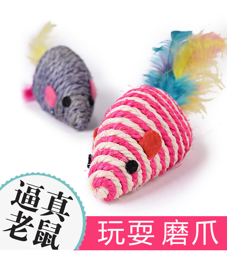 小麻鼠_01