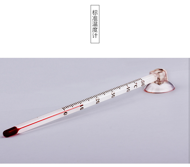 TB23bkIqVXXXXbVXpXXXXXXXXXX_!!