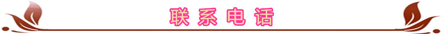 联系电话