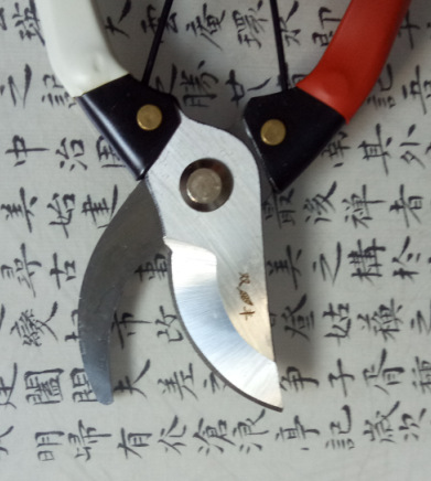 QQ图片20170517120327