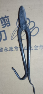 QQ图片20170320101546