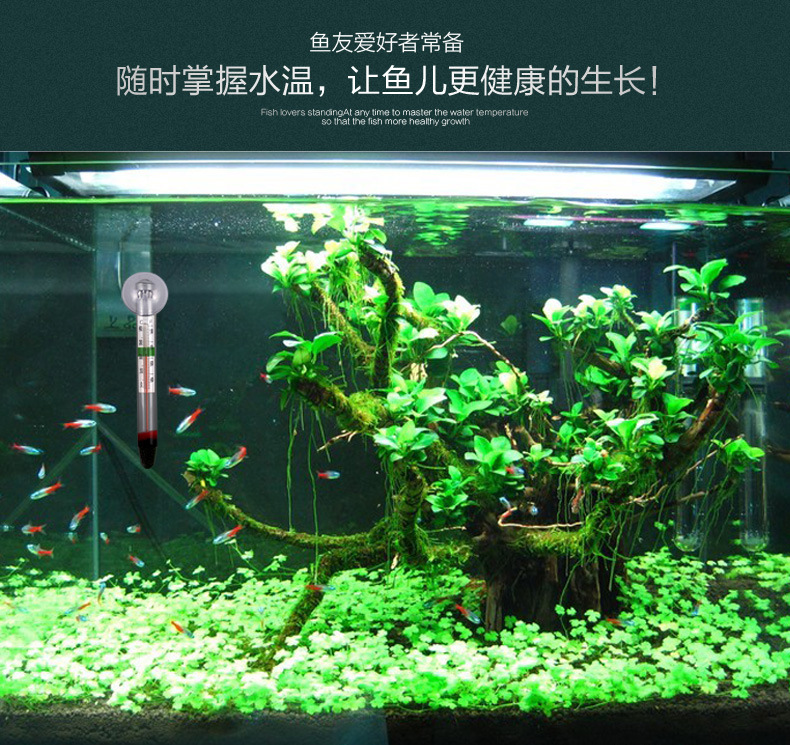 TB2cUXMgpXXXXa2XXXXXXXXXXXX_!!