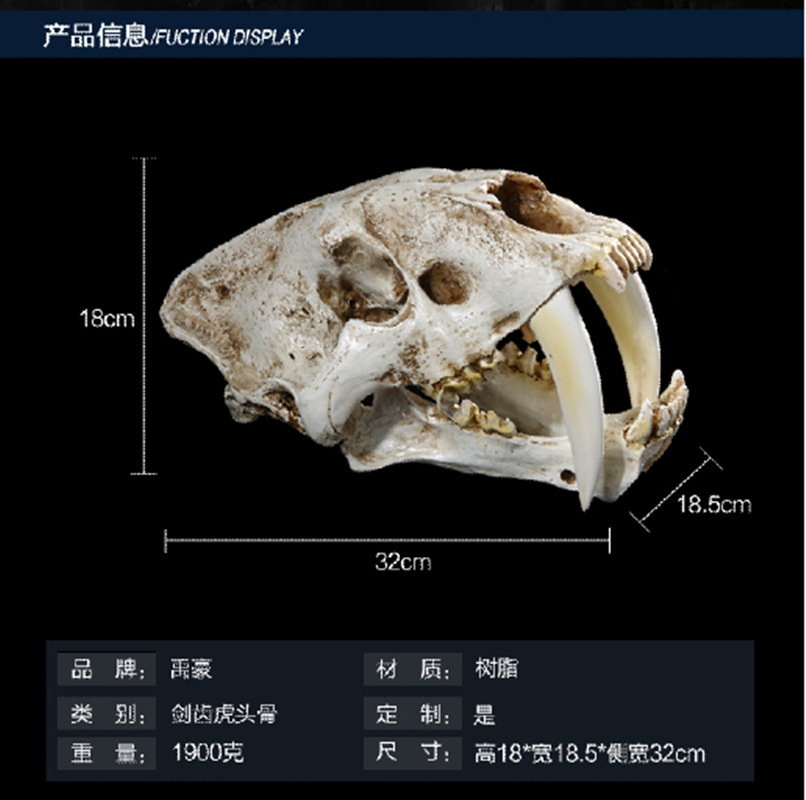 骷髅头-139 (3)_副本