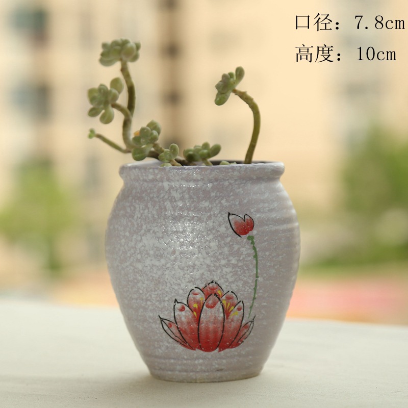 紫色-4