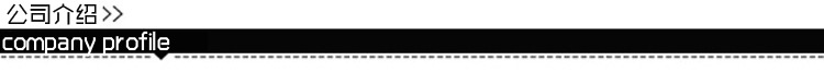 公司介绍