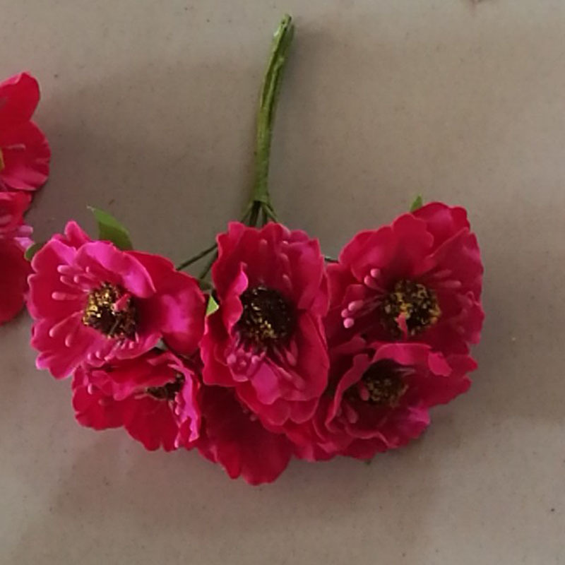 QQ图片20170720130538