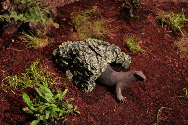 TB2NBeWnFXXXXa1XpXXXXXXXXXX_!!