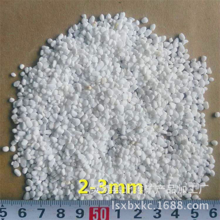 43007589525761306_看王