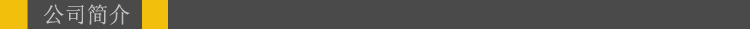 公司简介