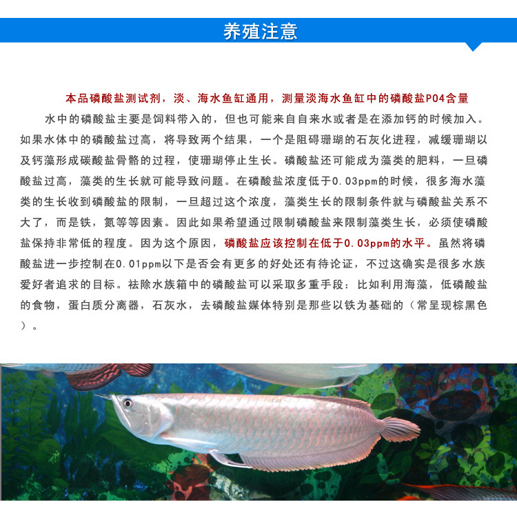 B25详情_06