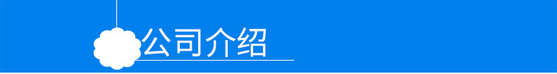 公司介绍