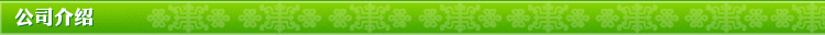 公司介绍