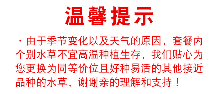 松皮石造景套餐详情页