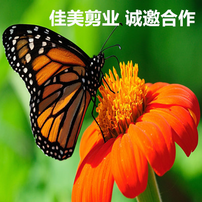 2_副本
