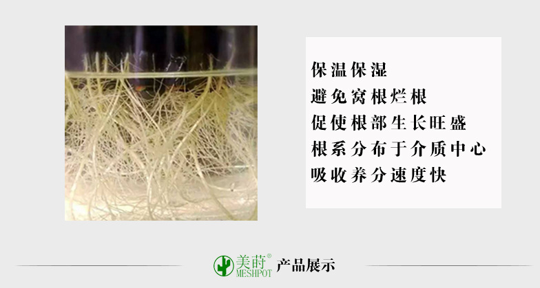 美莳水培篮定植器水培固根器水培定植杯水培植物加深塑