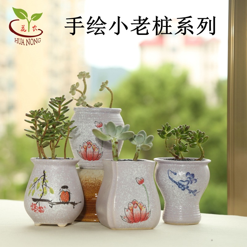 5S9A4245_看图王_副本