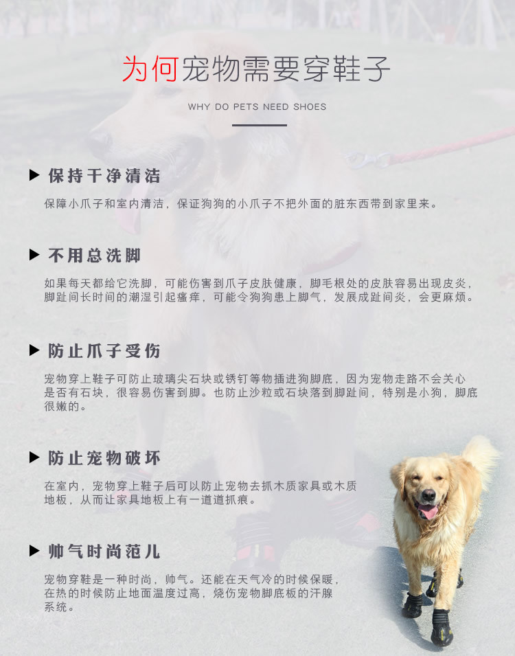 宠物鞋子新_r2_c1