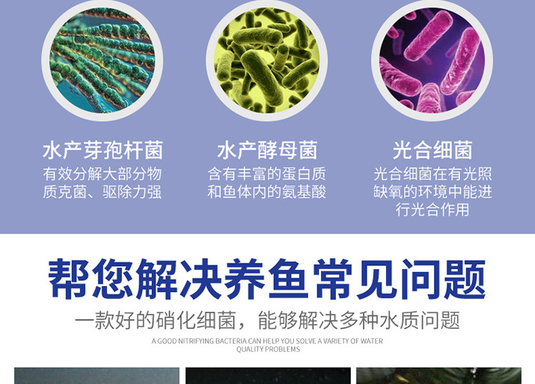 硝化细菌-详情750_06