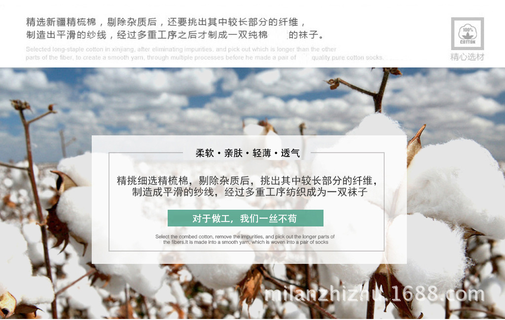 4491250190_1938312986