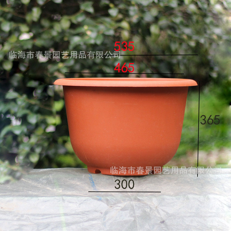 AB535荷花盆主1-2