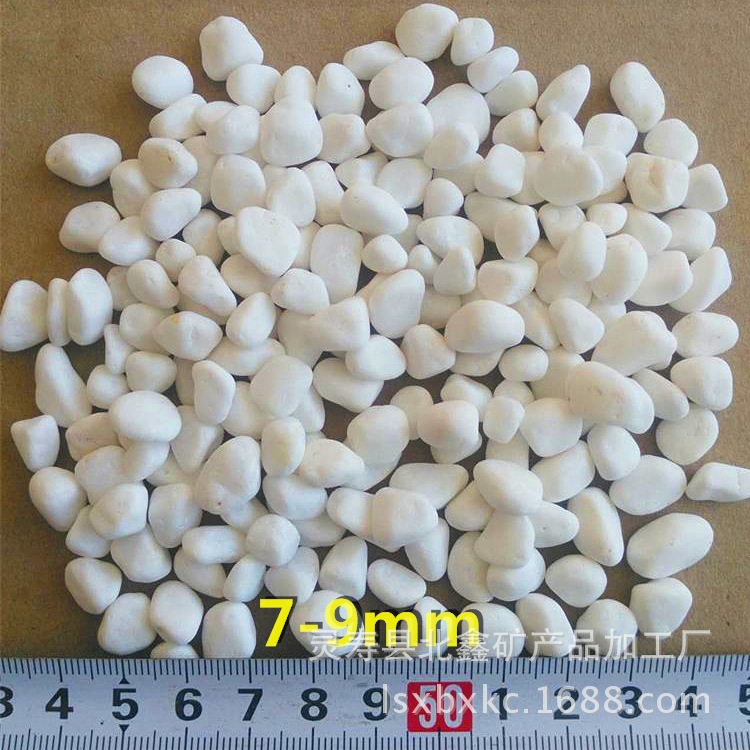 181642337018723361_看王