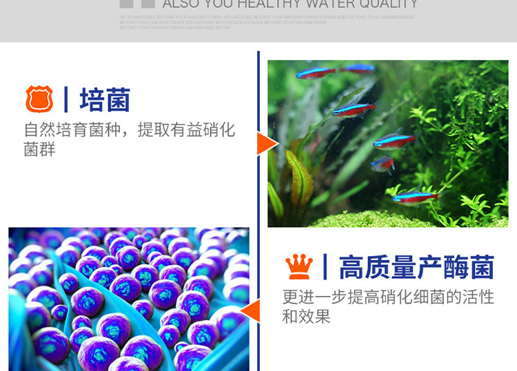硝化细菌-详情750_09