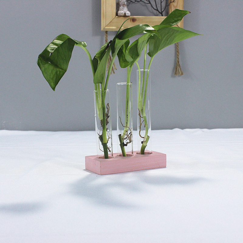 IMG_5669_看图王_副本