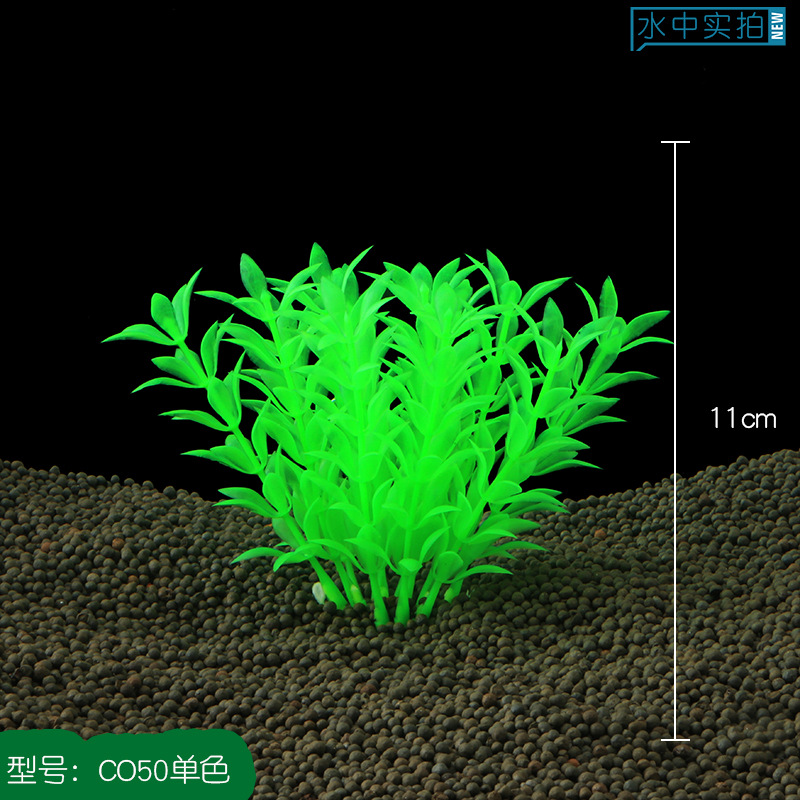 CO50单绿