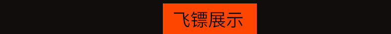 飞镖内页_03