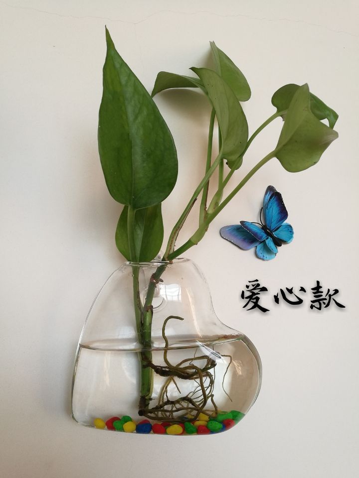 壁挂爱心款