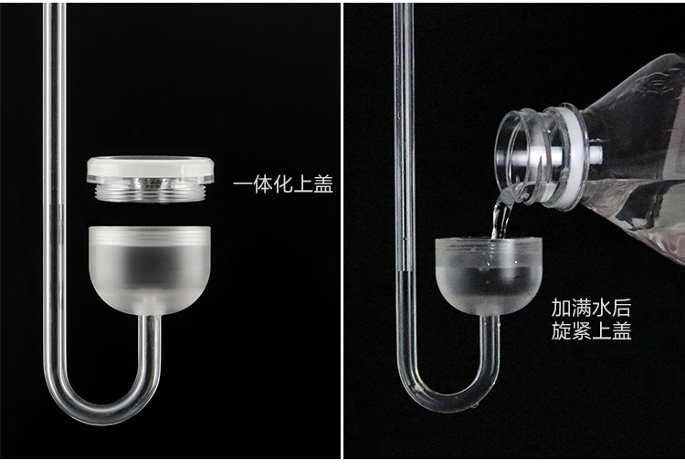 TB24g68a9FRMKJjy0FhXXX.xpXa_!!