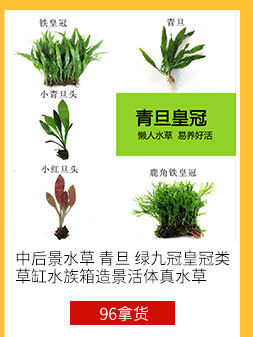 ９６拿货节１２产品_09