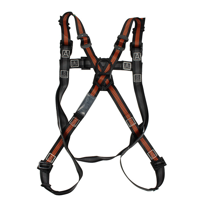 4072118211_1081503358