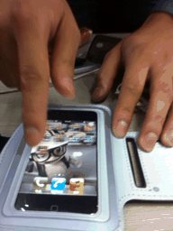 4629226933_1076808488