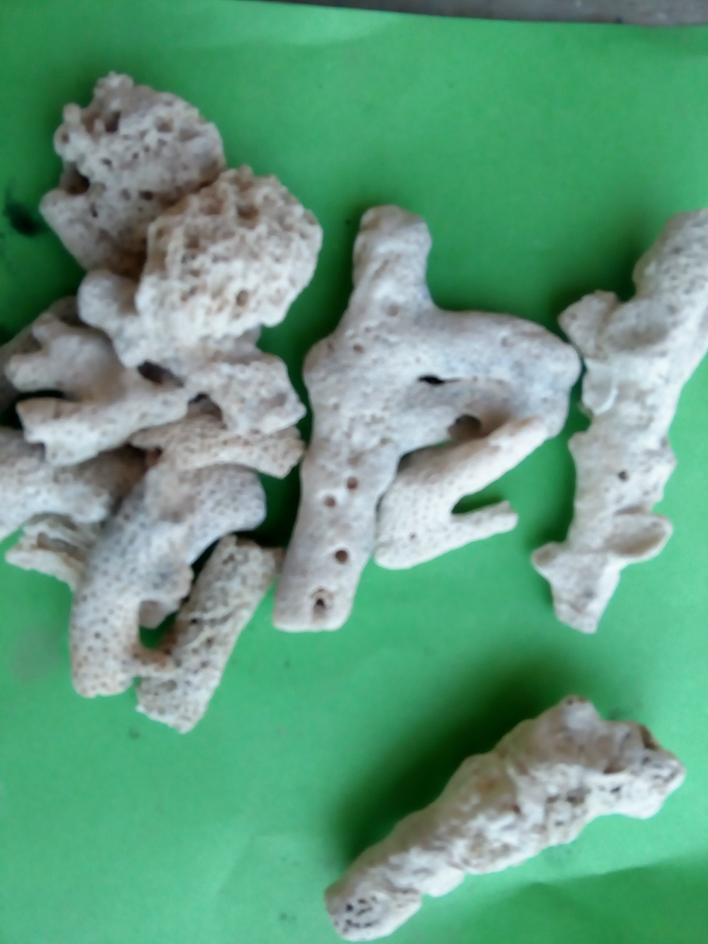 IMG_20170227_142923 (1)