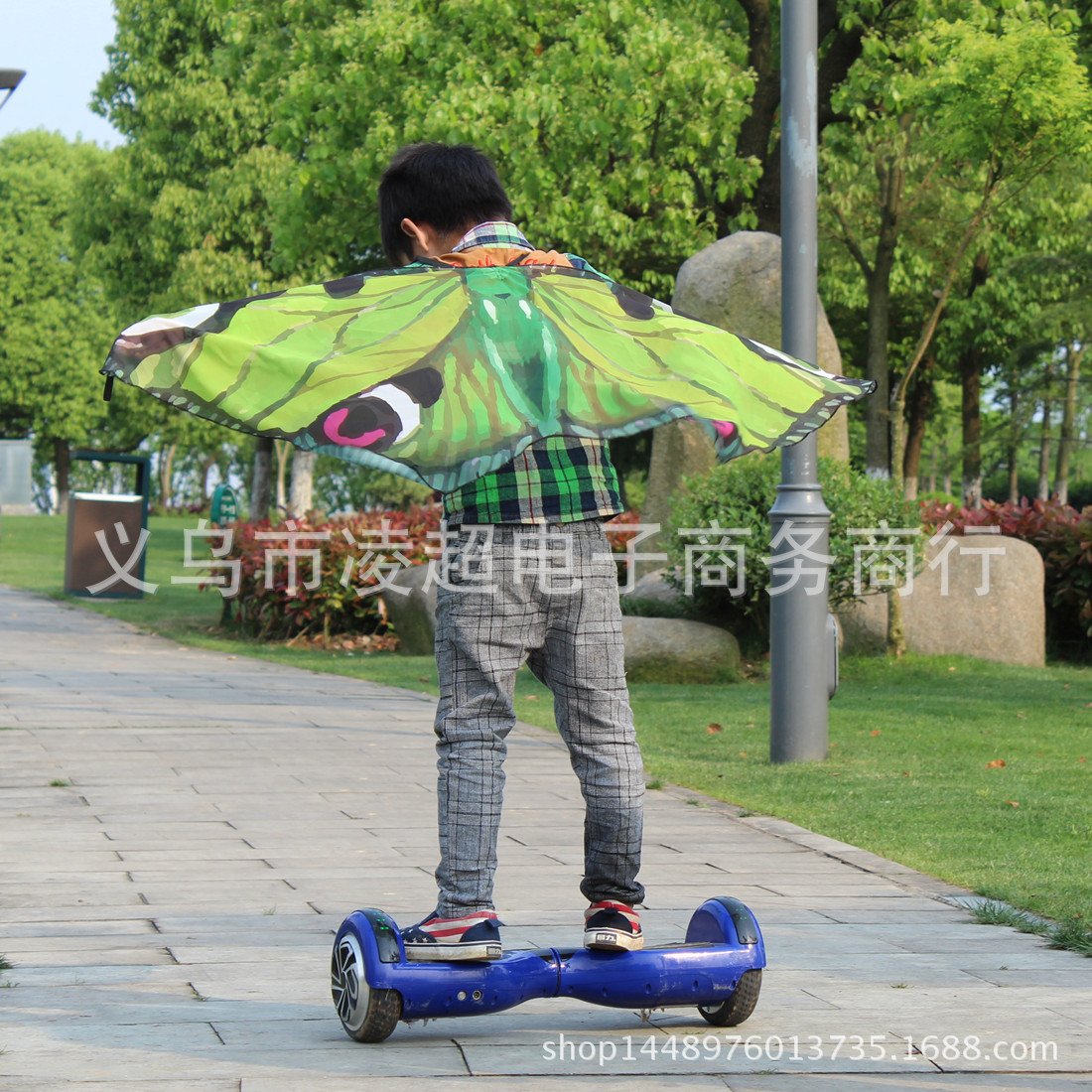 2ET草绿色蝴蝶 (9)