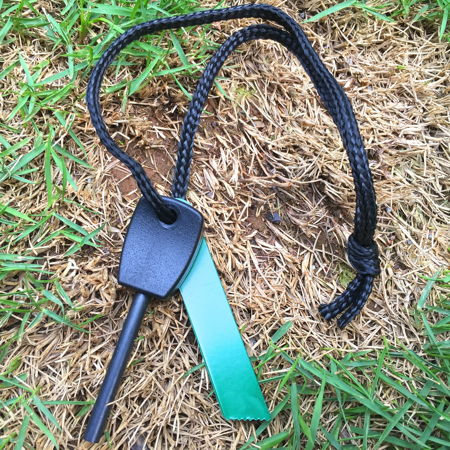 1492904870_IMG_1909_看图王