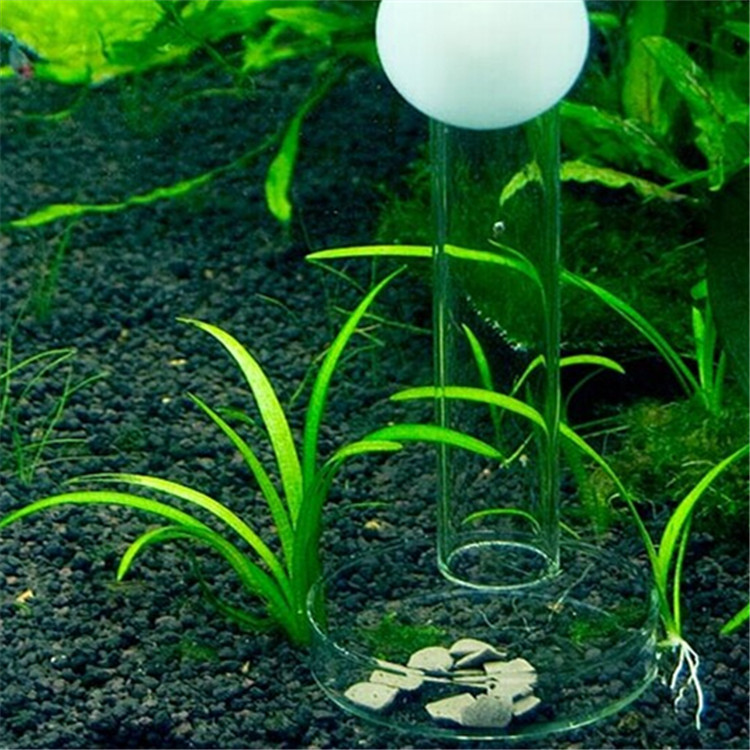 QQ图片20140610132720_副本