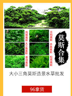 ９６拿货节１２产品_07