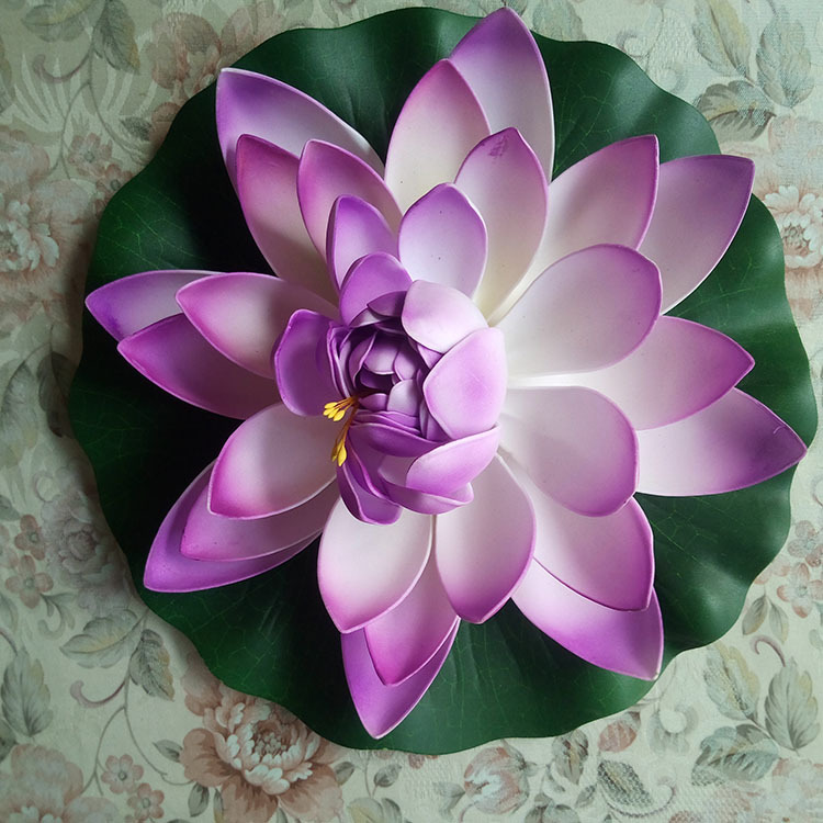 荷花IMG_20170805_105518