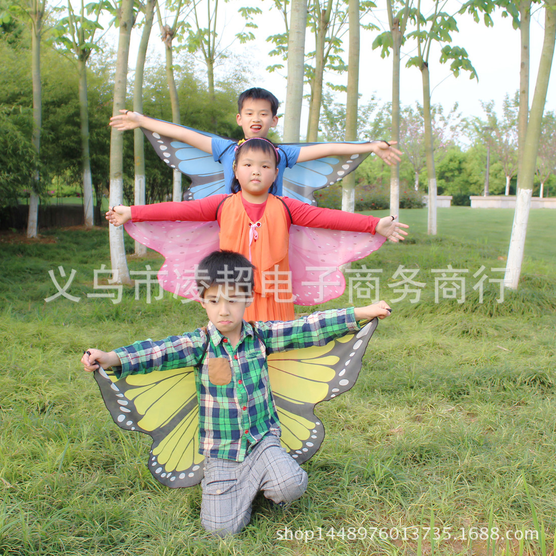 2ET草绿色蝴蝶 (8)