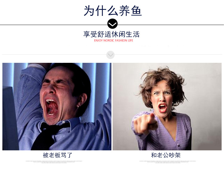 斗鱼缸_18