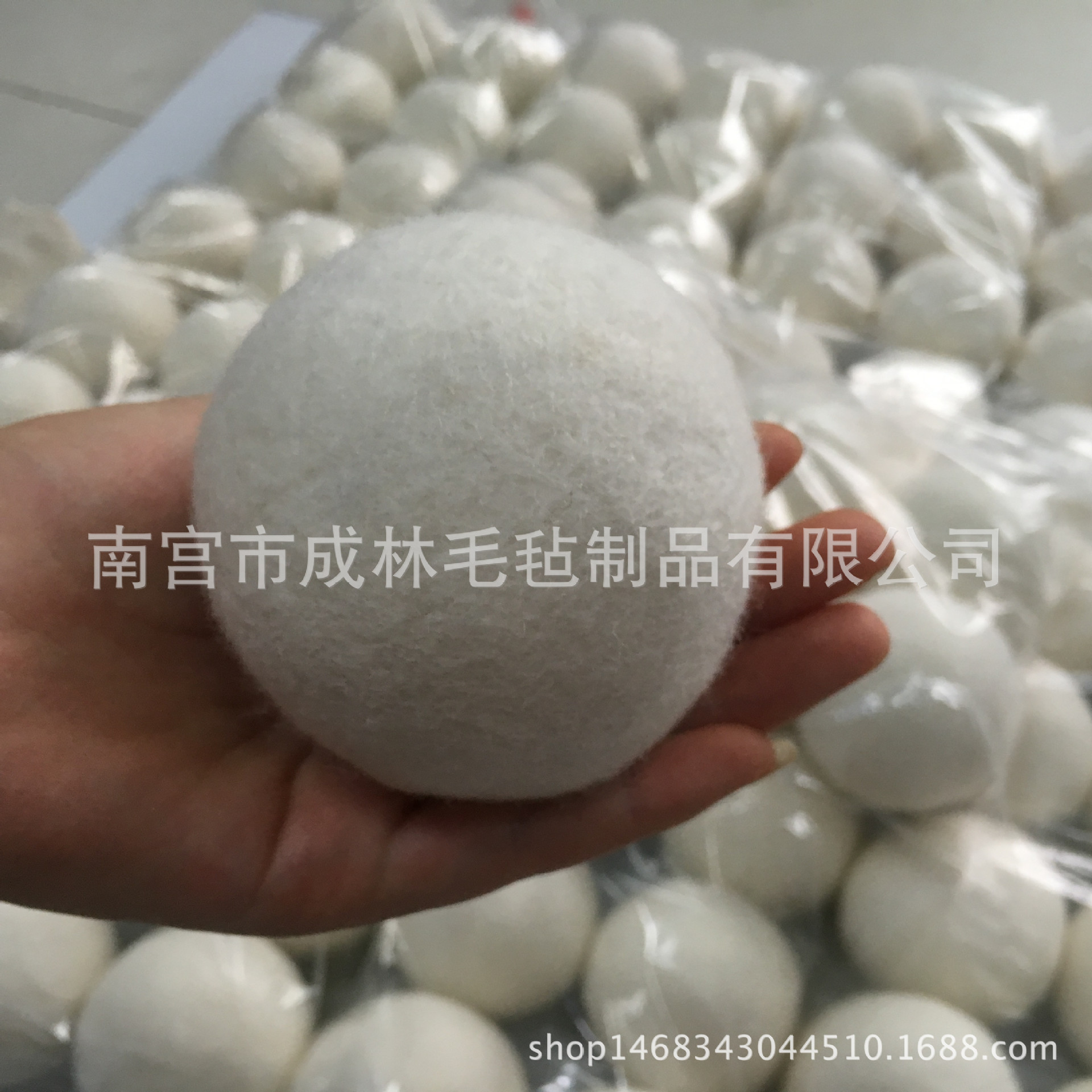 1464652600_IMG_1612_副本