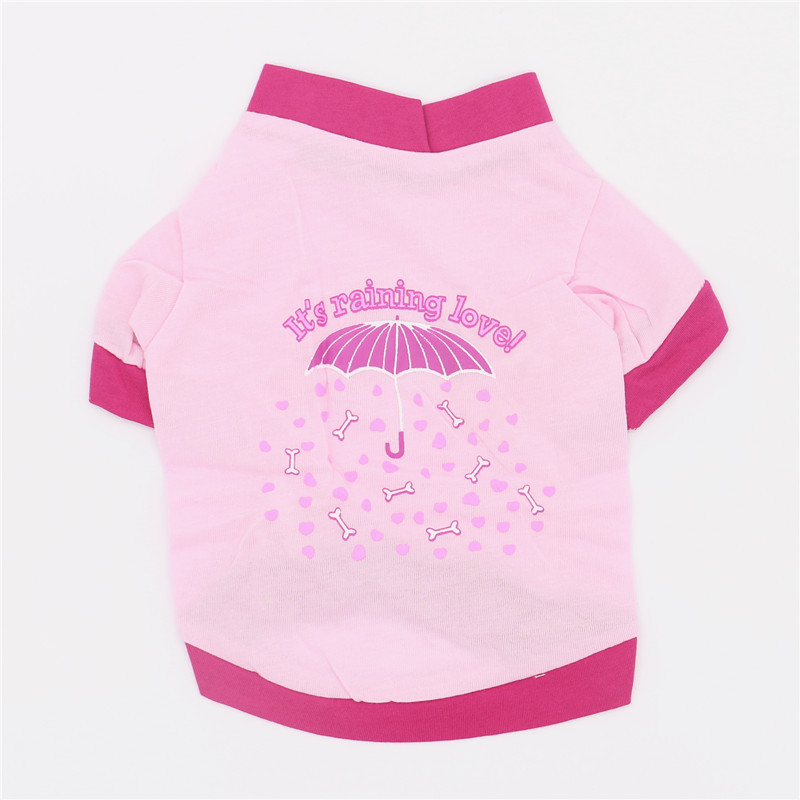 IMG_4731_副本 - 副本 - 副本