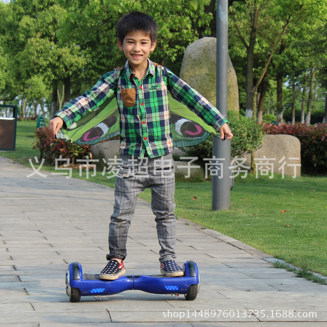 2ET草绿色蝴蝶 (11)