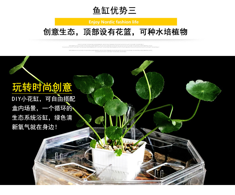 斗鱼缸_12