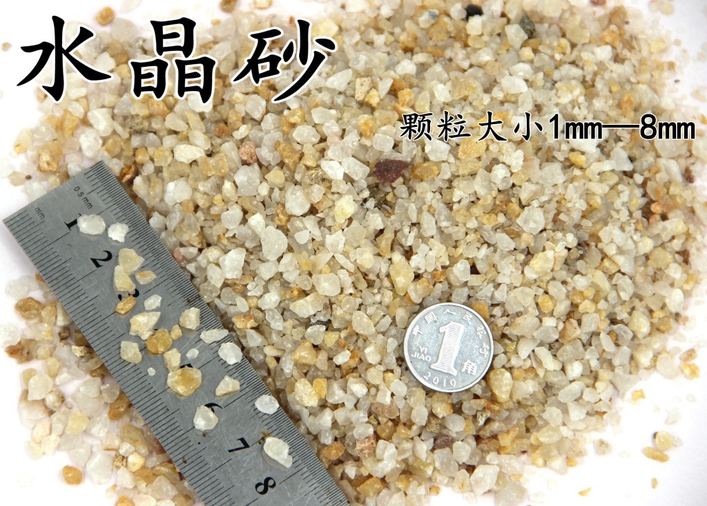 IMG_9711_副本1